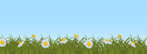 Margaridas em grama verde em um fundo céu azul. Fronteira. Flores de verão. Ele pode ser usado como uma amostra sem costura. Ilustração vetorial
 - Vetor, Imagem