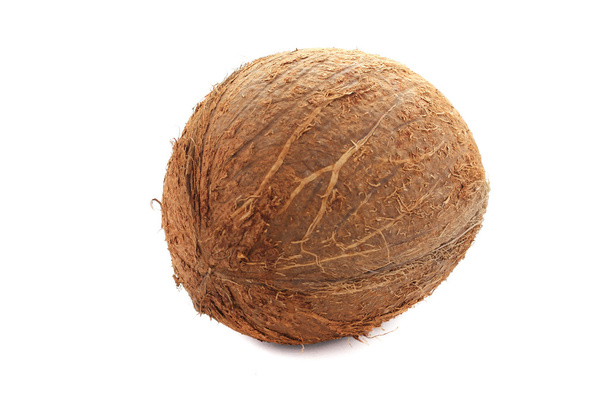 Coconut - Fotografie, Obrázek