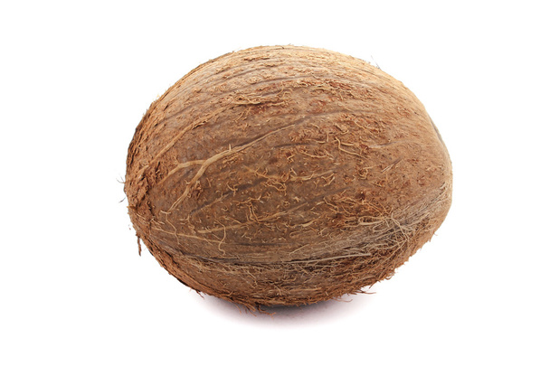 Coconut - Fotografie, Obrázek