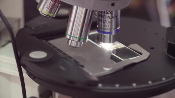 Glisser le verre sous la lentille du microscope lumineux
 - Séquence, vidéo