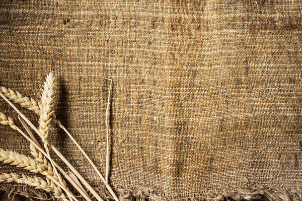 spikelets of wheat on sackcloth background - Photo, Image