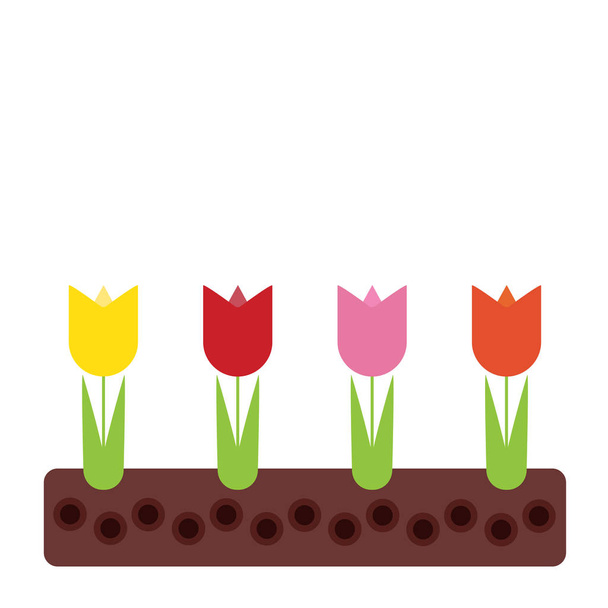Spring flowerbed with colorful tulips and green leaves in soil, with space for your text - vector - Vector, Image