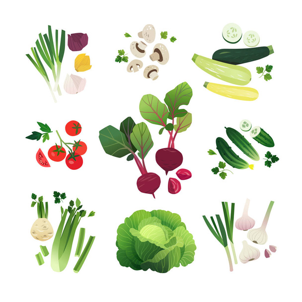 Plantaardige set met ui, champignon, courgette, tomaat, rode biet, komkommer, selderij, groene kool en knoflook - Vector, afbeelding