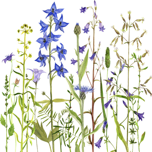 Background with watercolor flowers - Fotó, kép