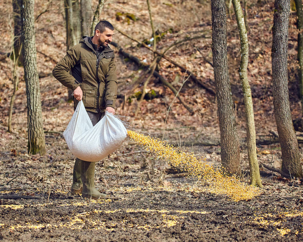 Forest ranger spilling maize on ground for wild animals at feeding spot - Фото, изображение