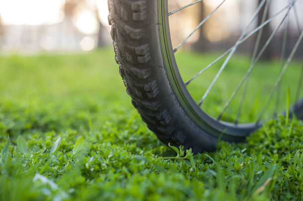 Mountain bike wheel on the green grass on the street in the spring - 写真・画像