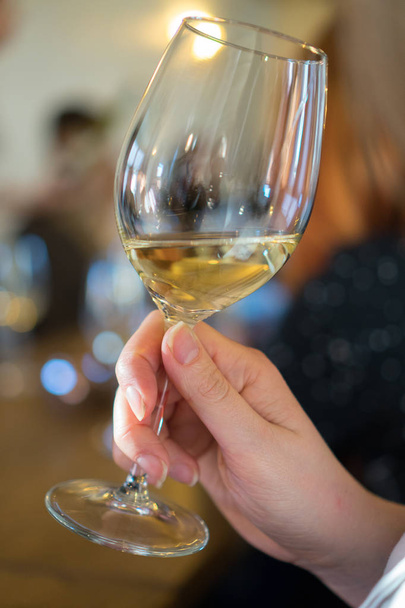 Žena držící sklenku bílého vína. Košt vína. - Fotografie, Obrázek