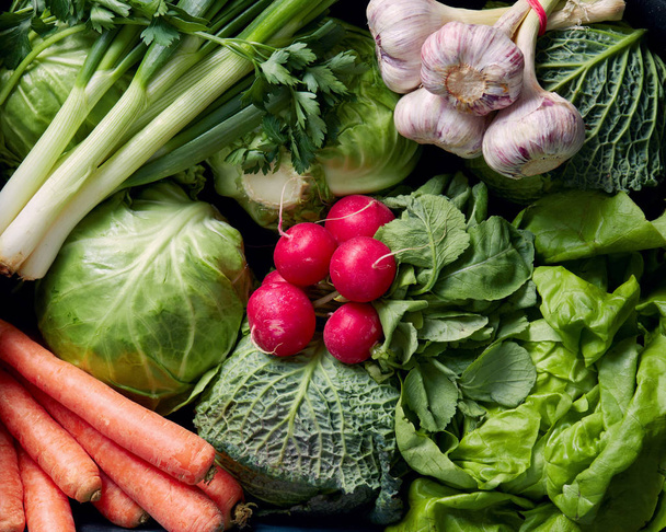 close-up photo of Fresh organic vegetables - Foto, immagini