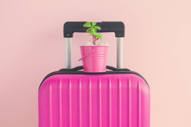 Luggage and can with palm tree toy on rose background travel concept. - Foto, afbeelding