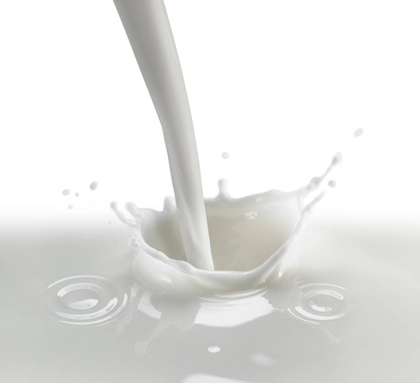 Spash of Milk on White - Photo, Image