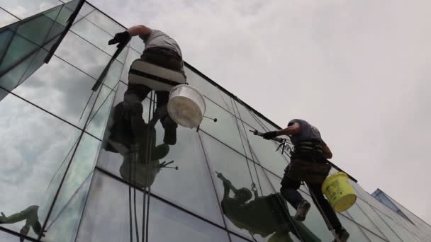 Industrial climbers are applying silicone on joints between windows.Industrial climbers are applying silicone to rubber juncture among building's glass facade. - Footage, Video