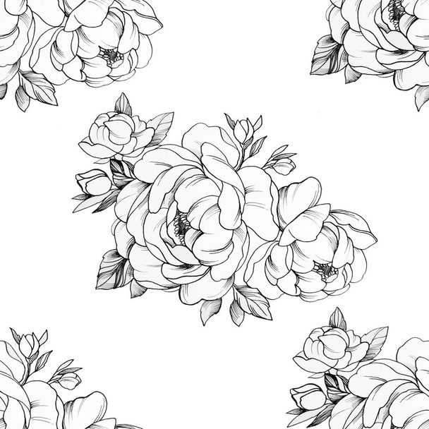 Seamless pattern of beautiful peonies on a white background. - 写真・画像