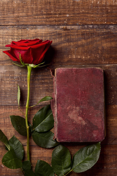 rode roos en boek - Foto, afbeelding