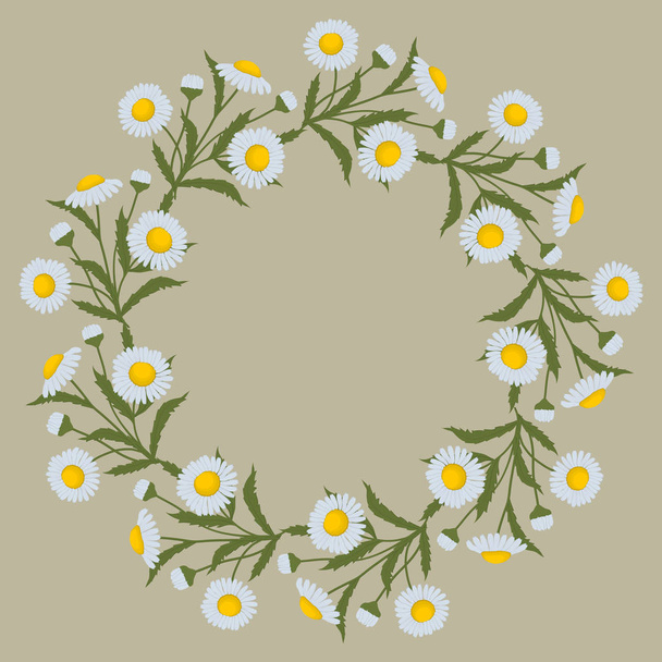 Floral ronde frame van zomerbloemen. Decoratieve krans van madeliefjebloemen met verlaat op een beige achtergrond. Wenskaartsjabloon. Het kan worden gebruikt als een ontwerpelement in projecten. Vector afbeelding - Vector, afbeelding