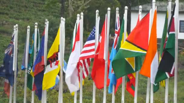Zbliżenie z wielu jasnych i różnych flagi świata macha do wiatru na maszty. Plantacja herbaty w tle - Materiał filmowy, wideo