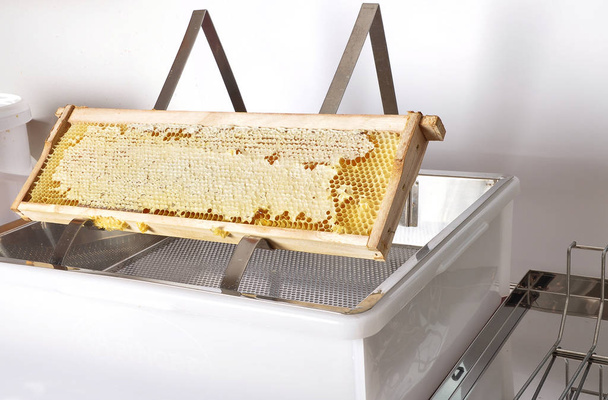 Honeycomb at plastic uncapping tub on white - Photo, Image