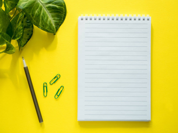 Notepad for notes, green plant leaves on yellow desktop, flat lay, copy space. - Fotoğraf, Görsel