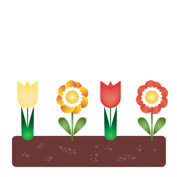 flowerbed with tulips and colorful flowers with green leaves in soil, with space for your text - vector - Vector, Image