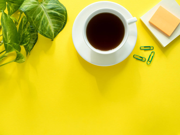 Green leaves plant coffee Cup on yellow desktop, flat lay, copy space. - Foto, Bild