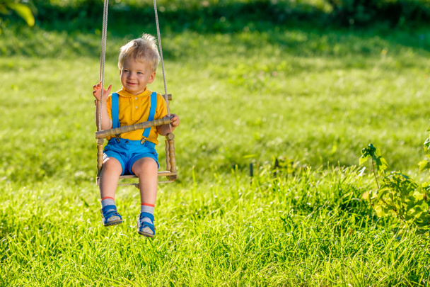 Portrait of toddler child swinging outdoors. Rural scene with baby boy at swing. Healthy preschool children summer activity. Kid playing outside.  - Photo, Image