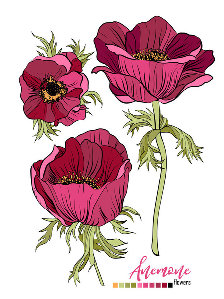 Vektor florales Bouquet-Design: Garten rote weinrote Anemonenblume. Hochzeitsvektor Einladungskarte. - Vektor, Bild