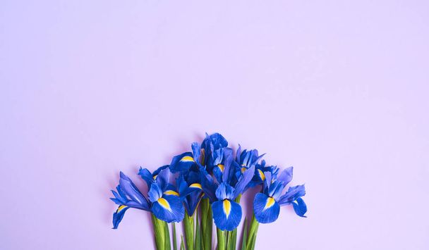 Biglietto di auguri con fiori di iris viola primaverili su sfondo viola,, spazio per il testo. vista dall'alto
 - Foto, immagini