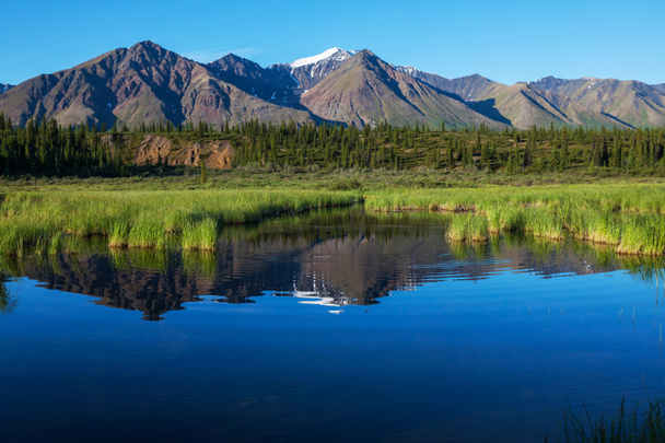 Озеро Аляски
 - Фото, изображение