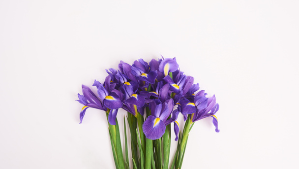 Wenskaart met paarse iris Lentebloemen op witte achtergrond, ruimte voor uw tekst. bovenaanzicht - Foto, afbeelding