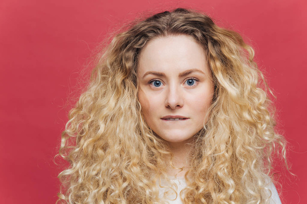 Headshot of beautiful curly blonde female with blue eyes, healthy skin, bites lower lip, looks directly into camera, isolated over bright pink background. People, appearance and beauty concept - Photo, image
