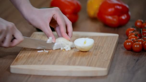 Chef cortando una cebolla con un cuchillo
 - Imágenes, Vídeo