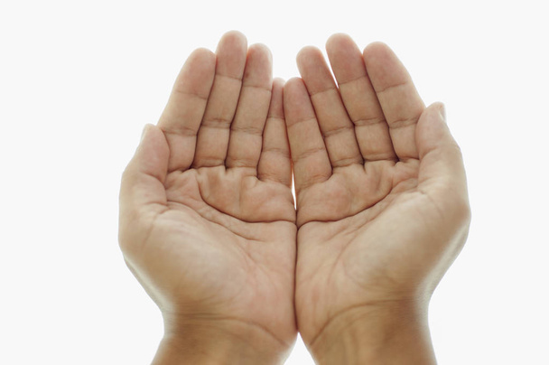 Руки, сложенные на белом фоне
 - Фото, изображение