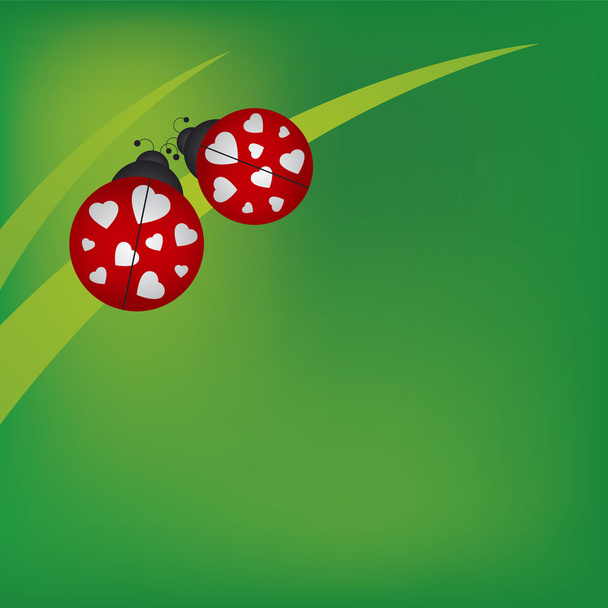 Ladybug on grass - Vector, afbeelding