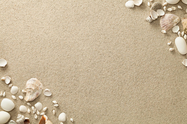 Homokos strand háttér-val kagyló és kövek - Fotó, kép