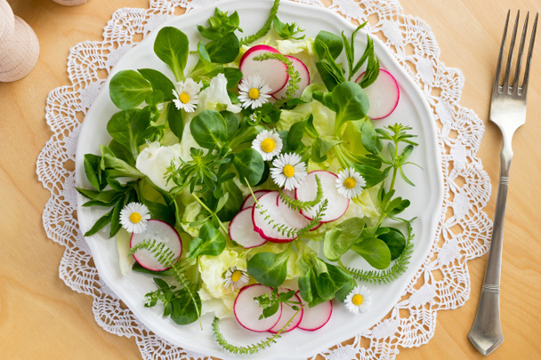 Spring salad with chickweed, bedstraw and yarrow - Photo, Image