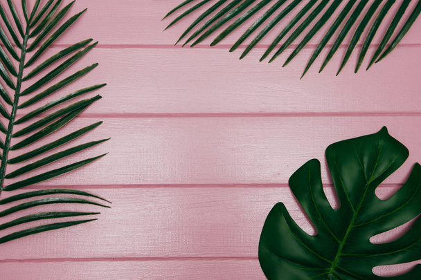 различные тропические листья на розовом фоне
 - Фото, изображение
