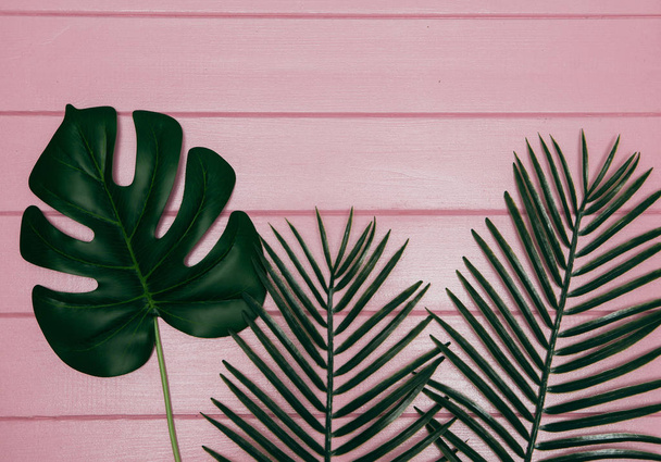 ピンクの背景の異なる熱帯葉 - 写真・画像