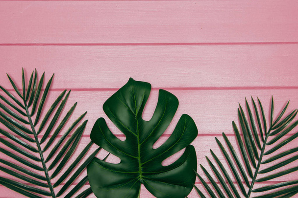 Pembe bir arka plan üzerinde farklı tropikal yaprak - Fotoğraf, Görsel