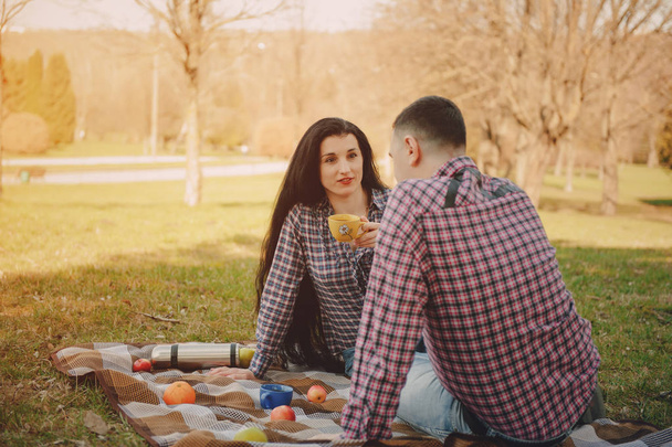 couple on a picnic - Foto, imagen