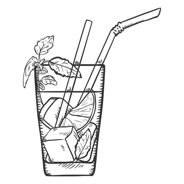 Vektorové ilustrace skica - sklenici Mojito s brčka, ledu, limetkou a mátou - Vektor, obrázek