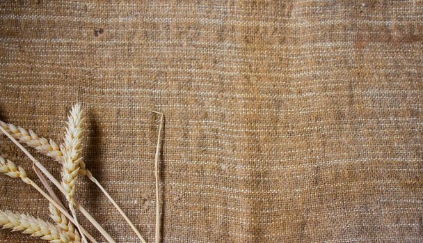 espiguetas de trigo sobre fundo de pano de saco
 - Foto, Imagem