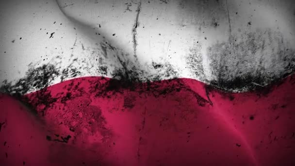 Poland grunge flag waving loop. Polish dirty flag blowing on wind. - Footage, Video