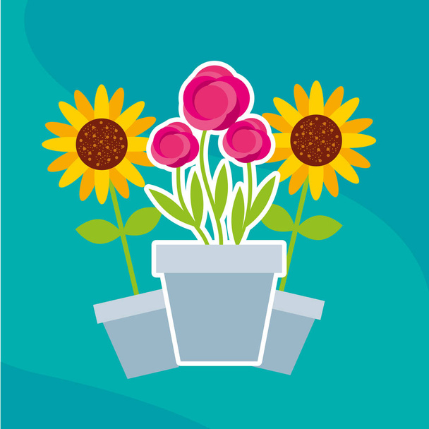 flowers roses and sunflowers in pot garden - Vector, Image