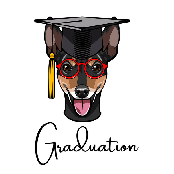 Russian Toy Terrier graduate. Graduation cap hat. Graduation inscription. Dog portrait. Vector. - Wektor, obraz
