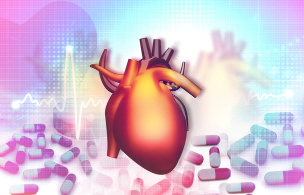 Az emberi szív anatómia. 3D-s illusztráció - Fotó, kép