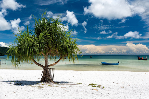 Paysage tropical de l'île de Koh Rong Samloem avec plage blanche, eau turquoise claire, palmiers et ciel bleu. Cambodge, Asie
. - Photo, image