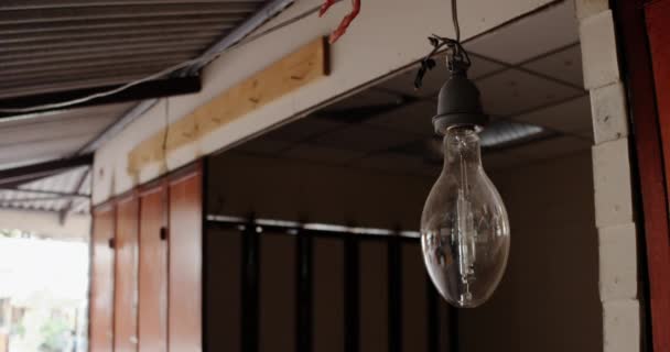 Ampoule vintage en Thaïlande Temple
 - Séquence, vidéo