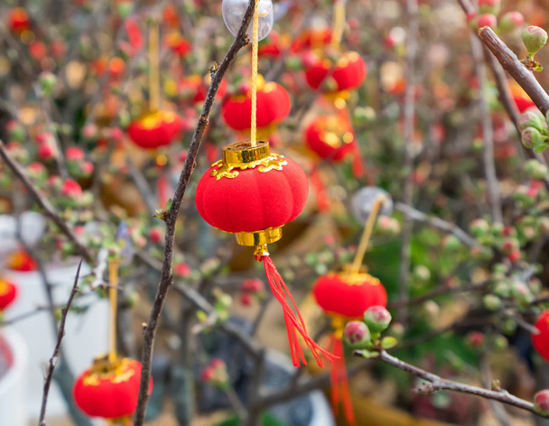 Festival de primavera Año Nuevo chino linterna decoración en un árbol
 - Foto, Imagen