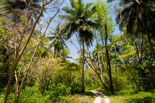 Tropical landscape of Koh Poda - Photo, Image