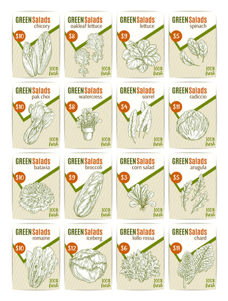 Vektoros rajz ár kártyák saláták vetables - Vektor, kép