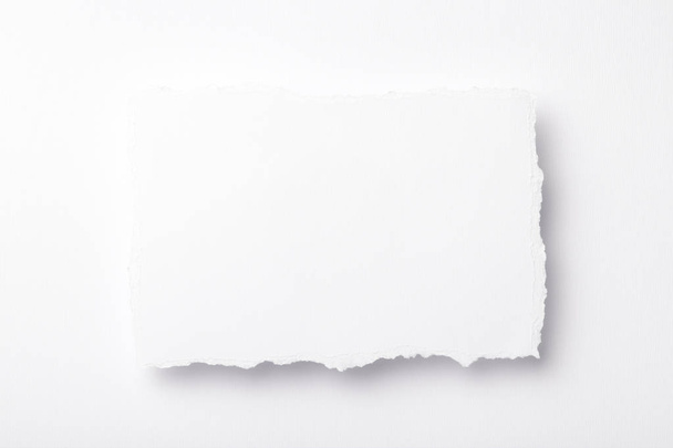 piece of white paper with torn edges on a colored background with a place for text - Valokuva, kuva